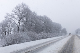 Thumbnail for 6929971