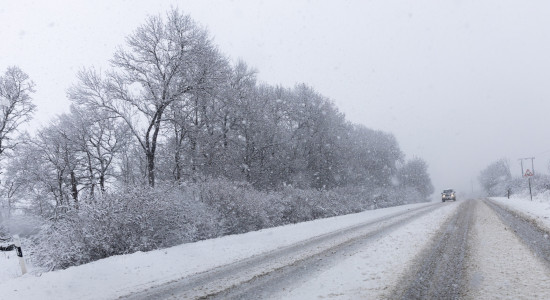 Thumbnail for 6929971