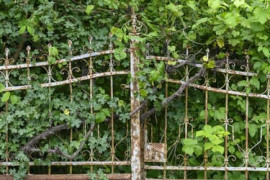 Thumbnail for 6930387