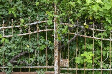 Thumbnail for 6930387