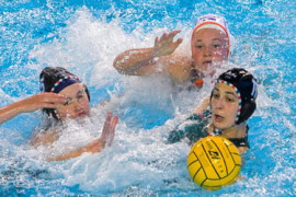 Thumbnail for 6930754