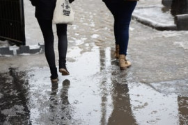 Thumbnail for 6931316