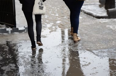 Thumbnail for 6931316