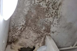 Thumbnail for 6931828