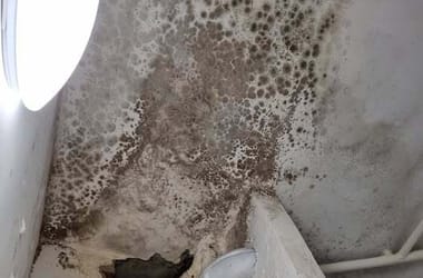 Thumbnail for 6931828