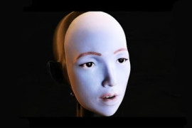 Thumbnail for 6931840