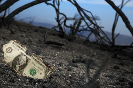 Thumbnail for 6931878