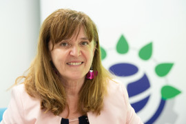 Thumbnail for 6933149