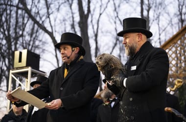 Thumbnail for 6933159