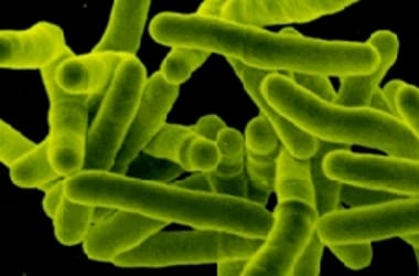 Thumbnail for 6933395