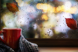 Thumbnail for 6933406