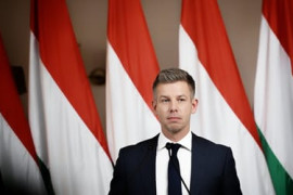 Thumbnail for 6934291