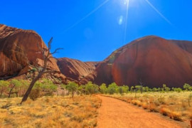 Thumbnail for 6934837