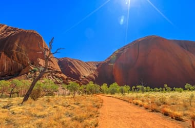 Thumbnail for 6934837