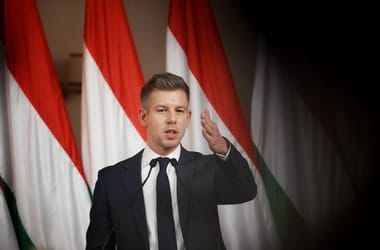 Thumbnail for 6935149