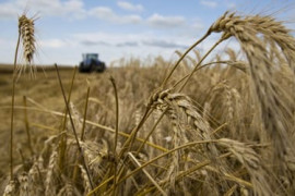 Thumbnail for 6935231