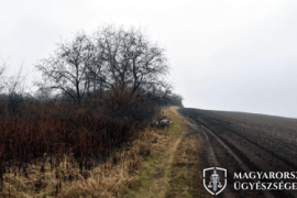 Thumbnail for 6935793