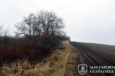 Thumbnail for 6935793