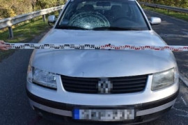 Thumbnail for 6935821