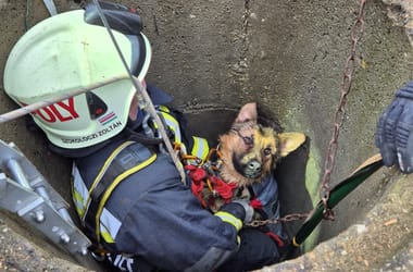 Thumbnail for 6935897