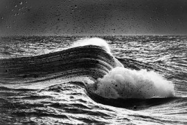 Thumbnail for 6936308