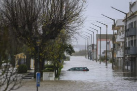 Thumbnail for 6936508