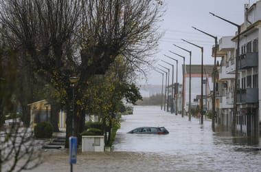 Thumbnail for 6936508