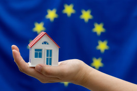 Thumbnail for 6936890