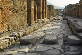 Thumbnail for 6937588