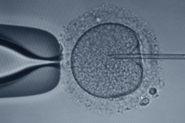 Thumbnail for 6937929