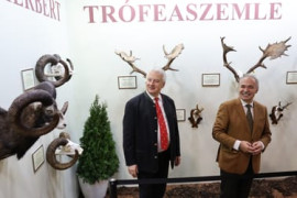 Thumbnail for 6938007