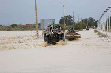 Thumbnail for 6938414