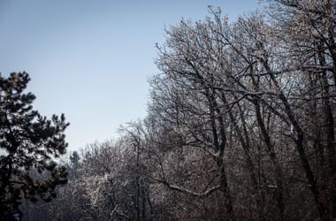 Thumbnail for 6938516