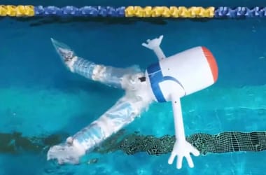 Thumbnail for 6939097