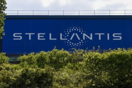 Thumbnail for 6939101