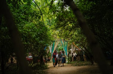 Thumbnail for 6939132