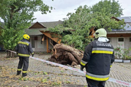 Thumbnail for 6939267