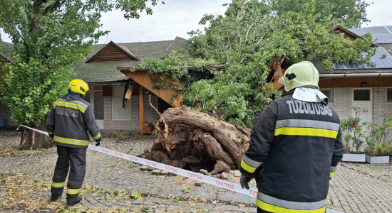 Thumbnail for 6939267