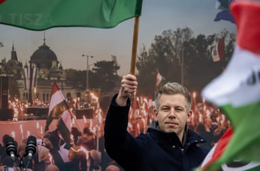 Thumbnail for 6939357