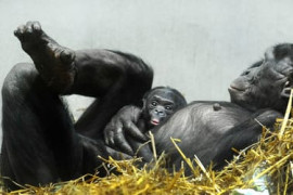 Thumbnail for 6939557