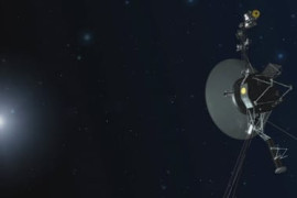 Thumbnail for 6939599