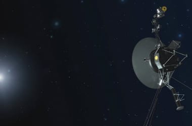 Thumbnail for 6939599