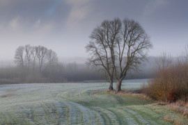 Thumbnail for 6939844