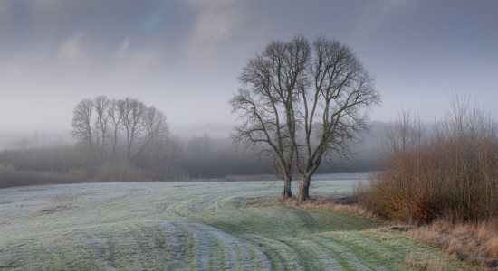 Thumbnail for 6939844