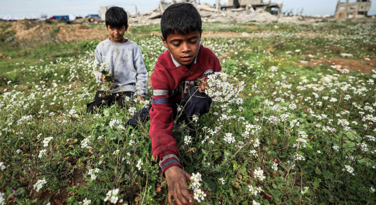 Thumbnail for 6940327