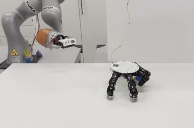 Thumbnail for 6940388