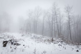 Thumbnail for 6940405