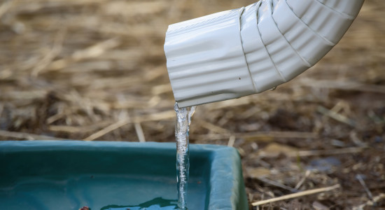 Thumbnail for 6940420