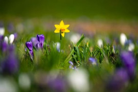 Thumbnail for 6940820