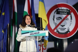 Thumbnail for 6940829